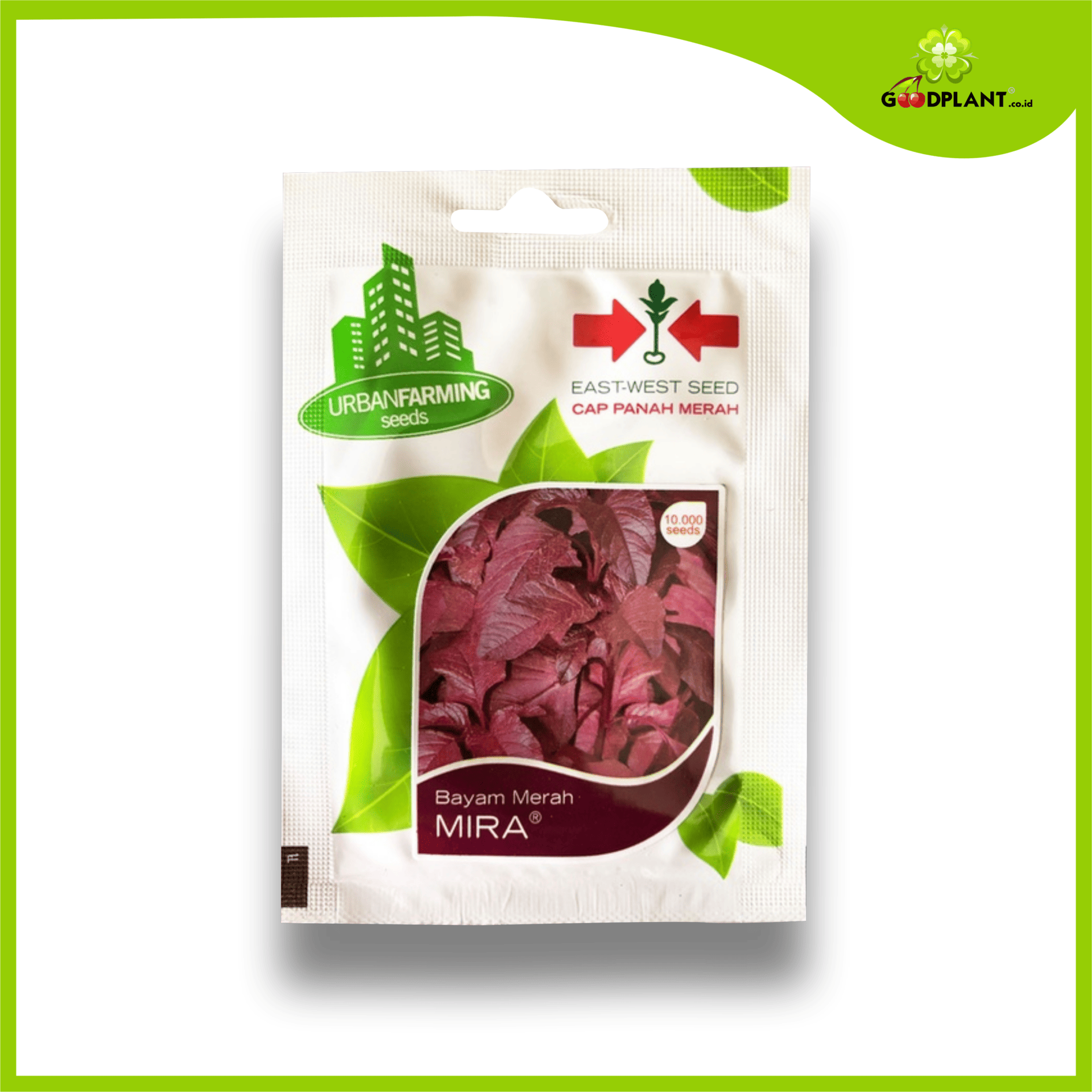 Panah Merah Small Bayam Merah Mira Panah Merah Small Bayam Merah Mira - Gambar 1
