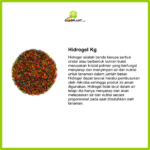 Hidrogel Kg - Gambar 2