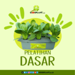 Rekaman Pelatihan Hidroponik 3 in 1 - Gambar 2