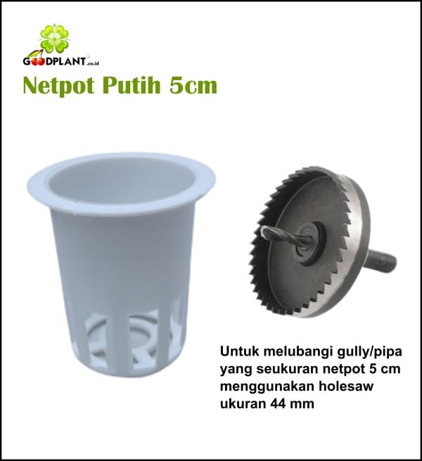 Netpot 7cm Putih - GOODPLANT | Toko dan Kebun Hidroponik | 0822 2727 3232