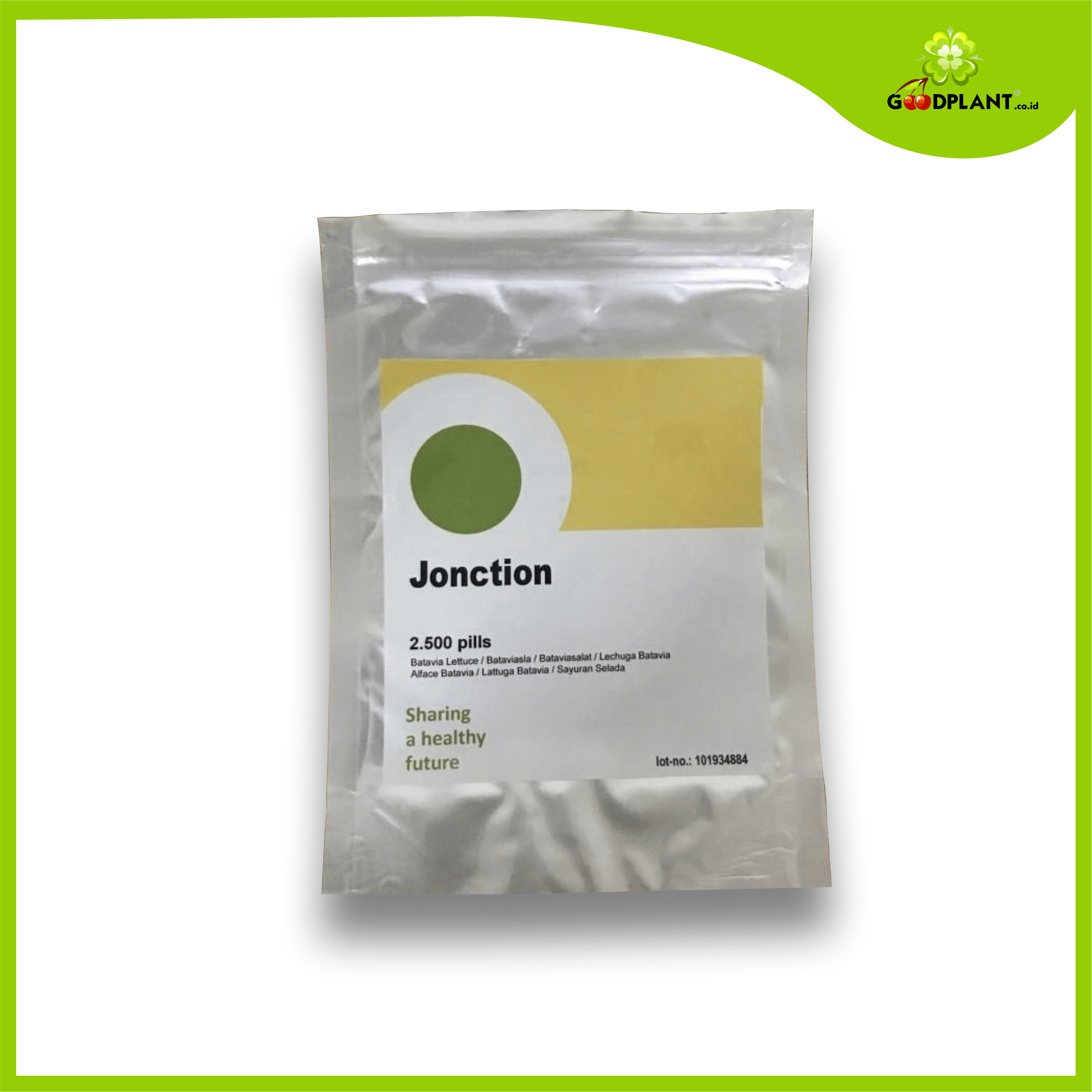 RZ Jonction @2500 Pills Benih Selada RZ Jonction 2500 seed - Gambar 1
