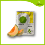 Benih Melon RZ Japanese Musk Fujisawa Repack 50 seed