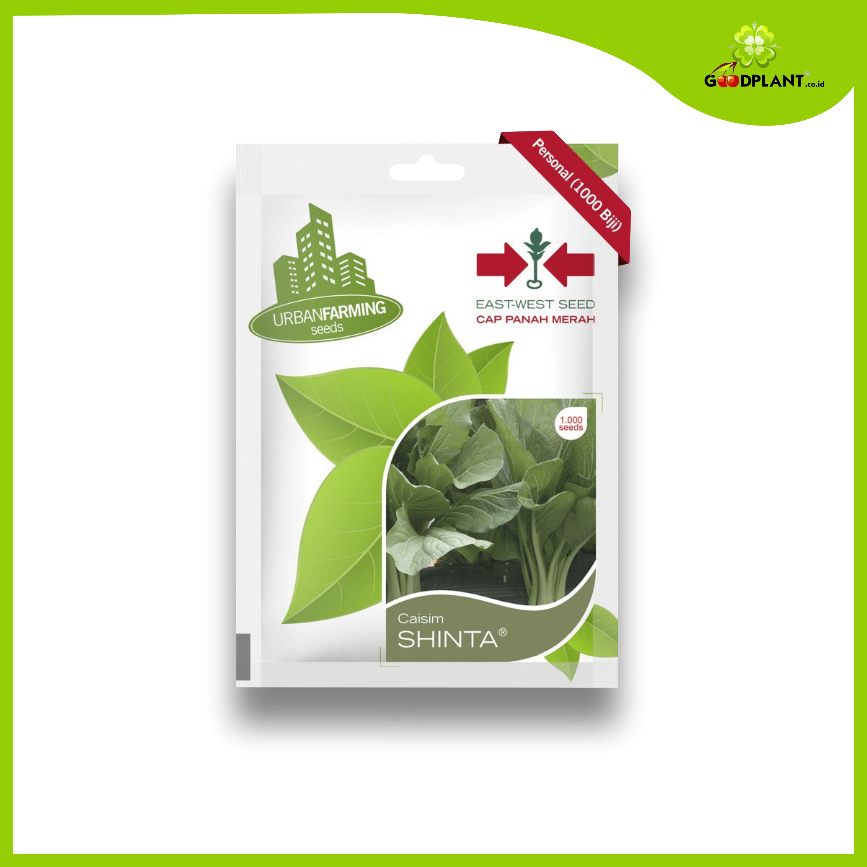 PM caisim shinta Panah Merah Small Caisim Shinta - Gambar 1