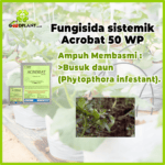 Acrobat 50WP 40gram - Gambar 2