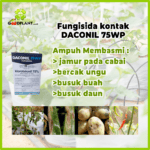 Daconil 75WP 500 gram - Gambar 2