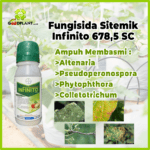 Infinito 678,5 SC - Gambar 3