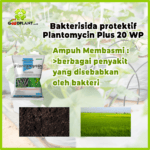Plantomycin plus 20WP 100gram - Gambar 3