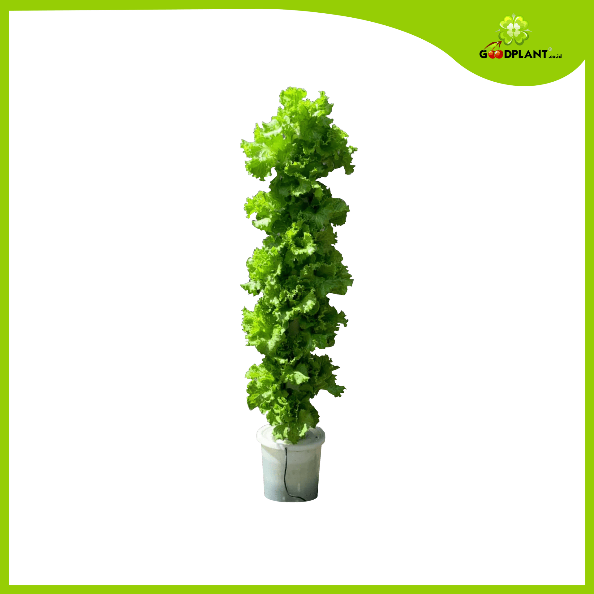 Vertikultur Vertikultur - Gambar 1