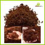 Cocopeat Karung - Gambar 3