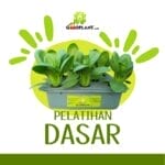 Rekaman Pelatihan Hidroponik Dasar dan Sayuran - Gambar 2