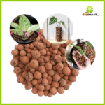 Hidroton Pack - Gambar 3