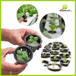 Netpot 5cm Hitam - Gambar 6