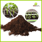 Peatmoss Pindstrup Ball - Gambar 3