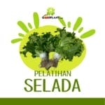 Rekaman Pelatihan Hidroponik Dasar dan Sayuran - Gambar 3