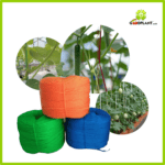 Tali Ajir Roll - Gambar 3