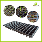 Tray Semai 50 Lubang - Gambar 2