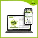 Pelatihan Hidroponik Sayuran