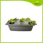 Paket Belajar Hidroponik - Gambar 4